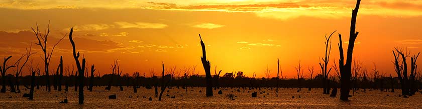 The dry outback of Albury Wodona